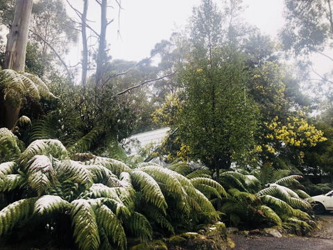 Lemonthyme Wilderness Retreat - VIC Tourism 16