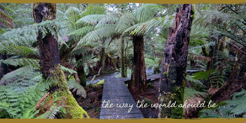 Lemonthyme Wilderness Retreat - VIC Tourism 17