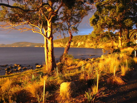 Beachside Taroona With Spa - VIC Tourism 19