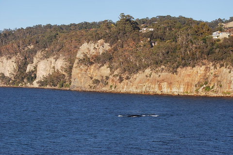 Beachside Taroona With Spa - VIC Tourism 29