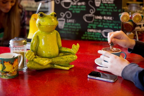 The Pickled Frog - VIC Tourism 30