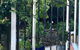 Cygnet Old Bank - thumb 36