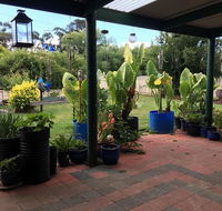 Blue Wren Bungalow - VIC Tourism