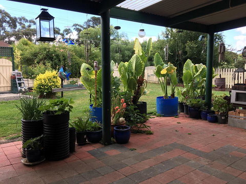 Blue Wren Bungalow - VIC Tourism 0