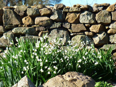 Wagners Cottages - VIC Tourism 11