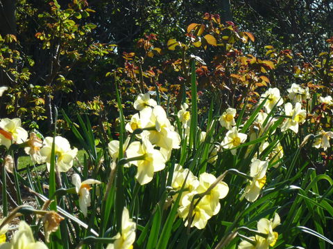 Wagners Cottages - VIC Tourism 13