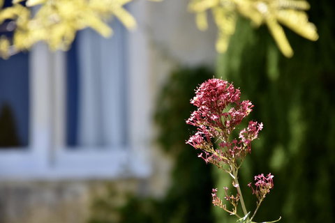 Villa Mallorca - VIC Tourism 28