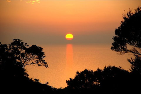 Villa Mallorca - VIC Tourism 41