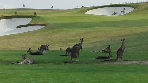 Yering Gorge Cottages - VIC Tourism 10