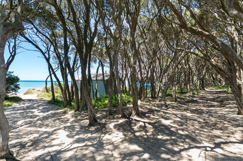Blairgowrie Bella - Light Filled Home With Great Deck - VIC Tourism 12