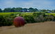 Nautique Beach House - thumb 25