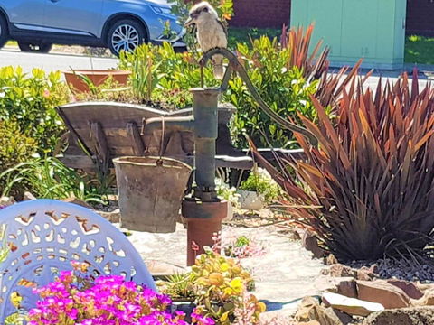 Wilsons Promontory Motel - VIC Tourism 8