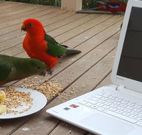 Wilsons Promontory Motel - VIC Tourism