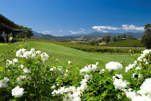 Balgownie Estate Yarra Valley - VIC Tourism 36