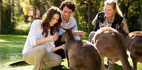 Balgownie Estate Yarra Valley - VIC Tourism 10
