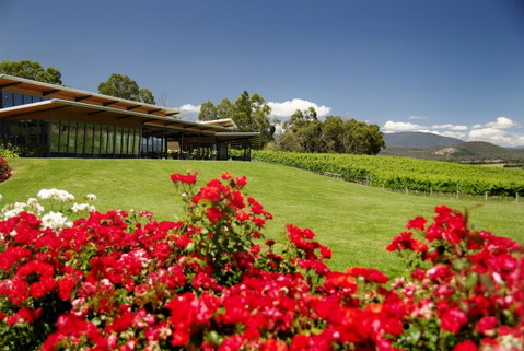 Balgownie Estate Yarra Valley - VIC Tourism 0