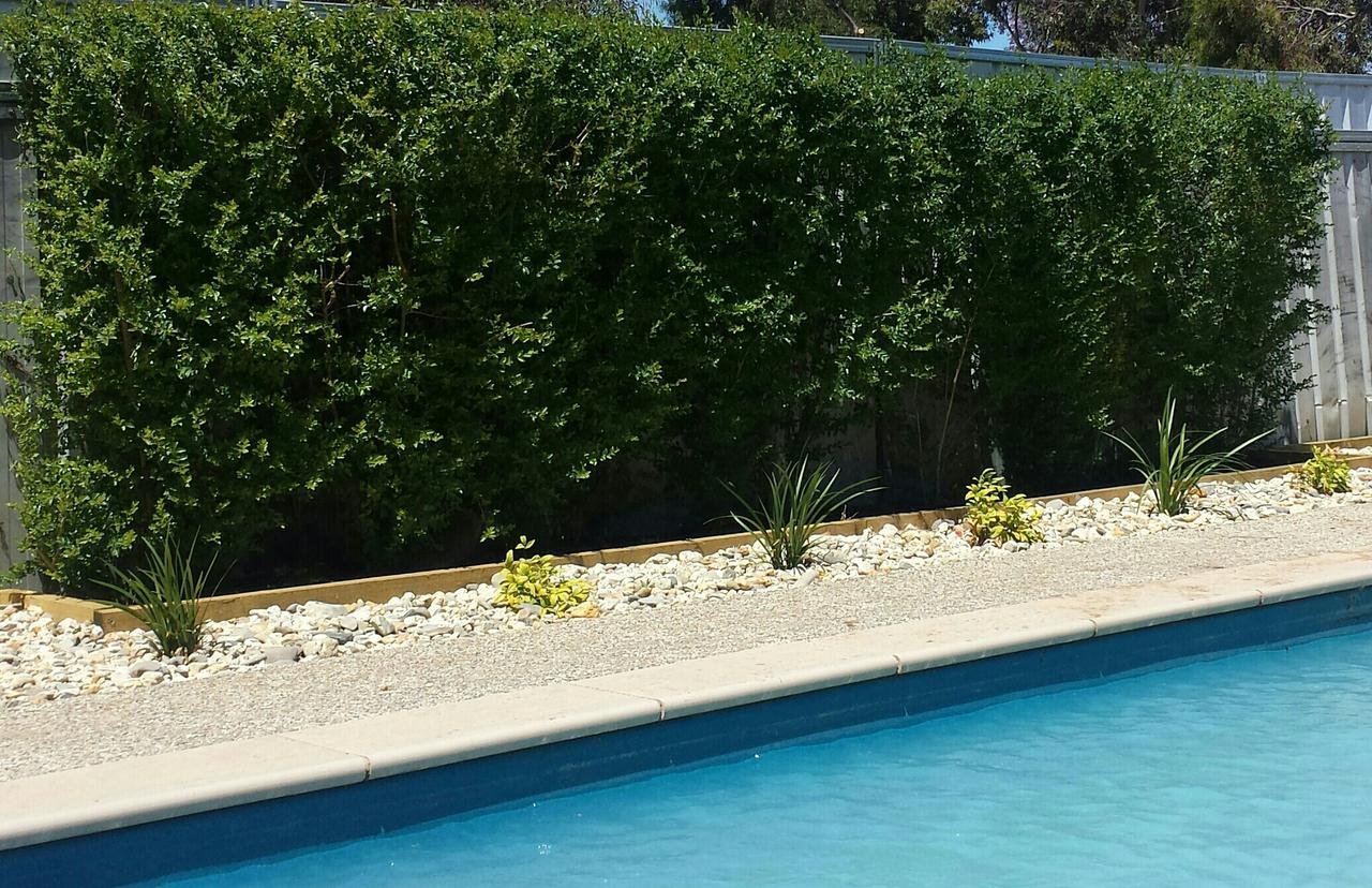 Annuello VIC VIC Tourism