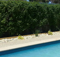 Robinvale Bridge Motel - VIC Tourism