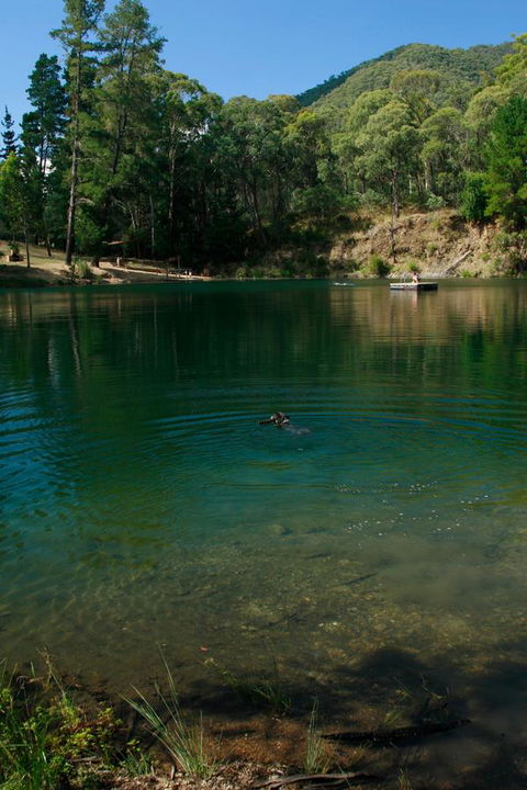 The Harrietville Snowline Hotel - VIC Tourism 38