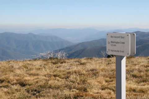 The Harrietville Snowline Hotel - VIC Tourism 31