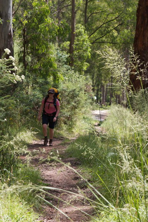 The Harrietville Snowline Hotel - VIC Tourism 11