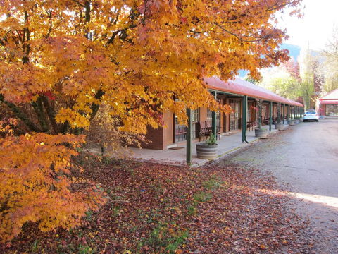 The Harrietville Snowline Hotel - VIC Tourism 21