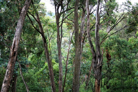 Tangenong Cottages - VIC Tourism 9