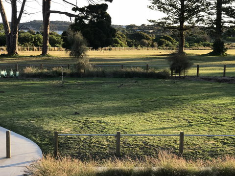 Bunya By The Sea - VIC Tourism 3