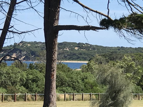 Bunya By The Sea - VIC Tourism 6
