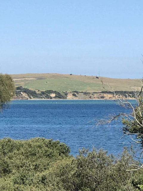 Bunya By The Sea - VIC Tourism 7