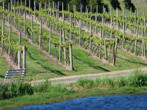 De\'Vine Escape - VIC Tourism 13