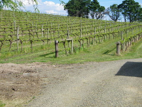 De\'Vine Escape - VIC Tourism 23
