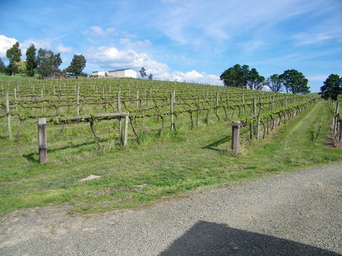 De\'Vine Escape - VIC Tourism 30