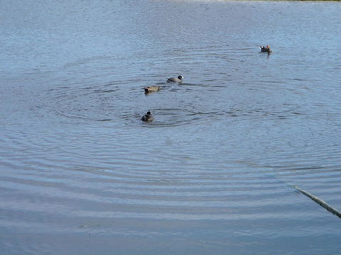 De\'Vine Escape - VIC Tourism 21
