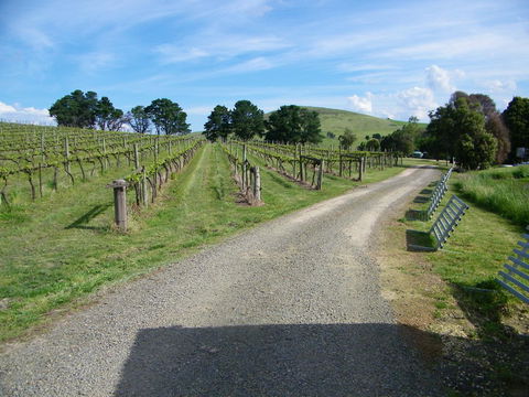 De\'Vine Escape - VIC Tourism 24