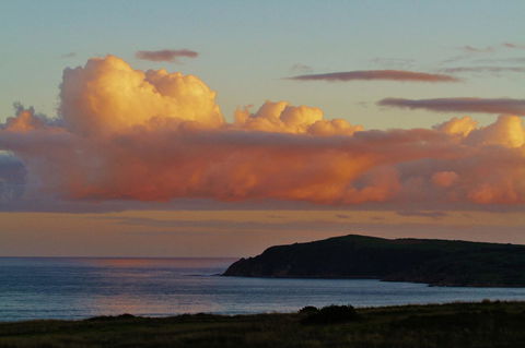 Arcadia Phillip Island - VIC Tourism 19
