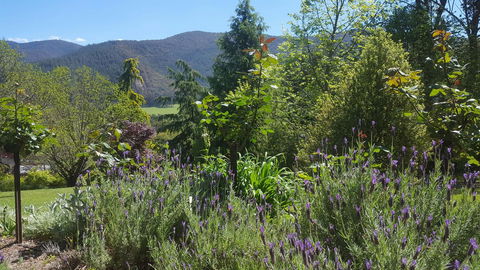 Abbys Cottages Bright - VIC Tourism 33