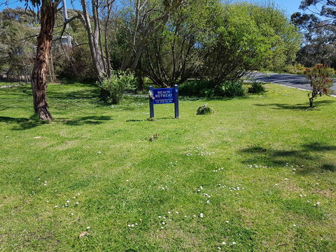 Beach Retreat Apartment Marengo - VIC Tourism 7