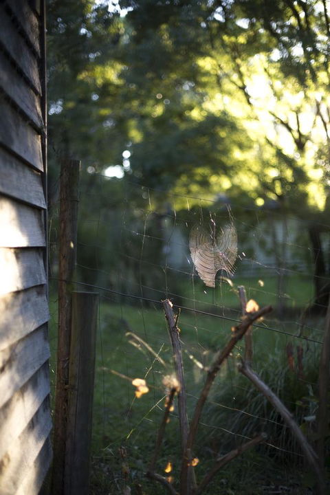 Botanica Editions - VIC Tourism 14