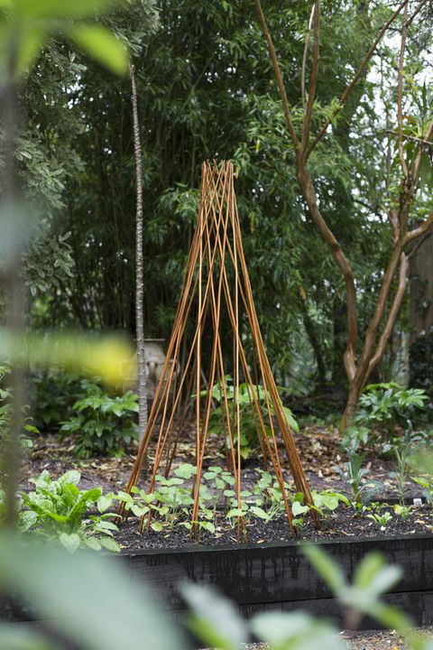 Botanica Editions - VIC Tourism 23