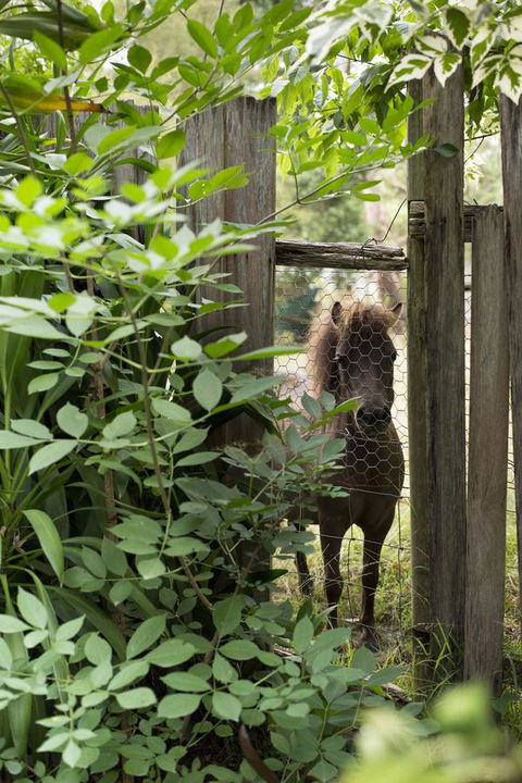 Botanica Editions - VIC Tourism 40