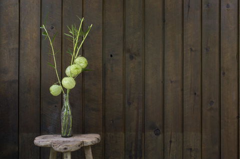 Botanica Editions - VIC Tourism 10