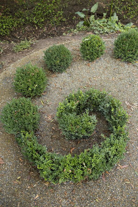 Botanica Editions - VIC Tourism 7