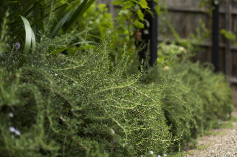 Botanica Editions - VIC Tourism 35