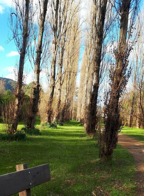 On The Banks - VIC Tourism 11