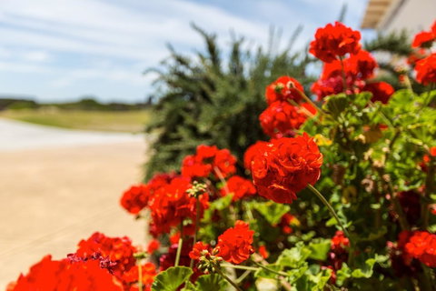 Cottages For Couples - VIC Tourism 13