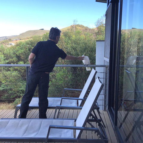 Apollos View Accommodation - VIC Tourism 18