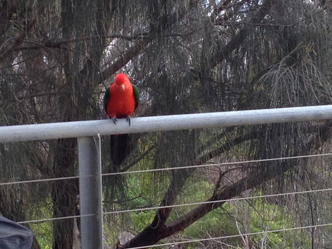 Apollos View Accommodation - VIC Tourism 23