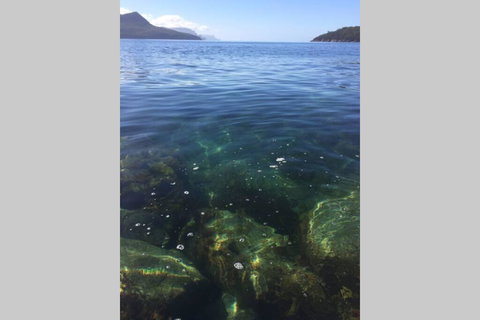 The Cove... On The Rocks At Port Arthur - VIC Tourism 3