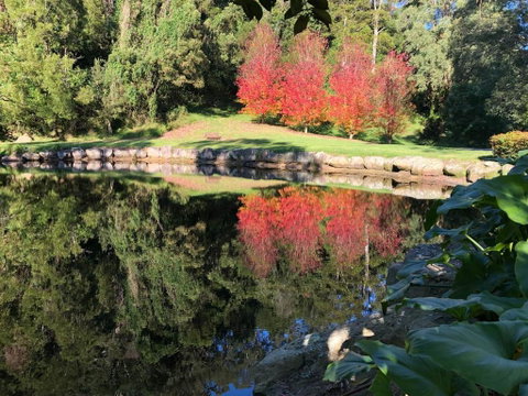 The Drawing Rooms Of Berry - VIC Tourism 2